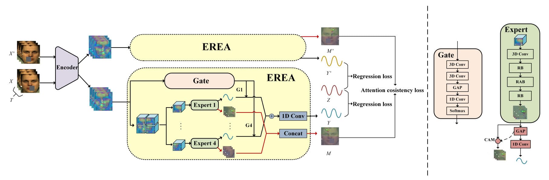 Toward Motion Robustness: A Masked Attention Regularization Framework in Remote Photoplethysmography